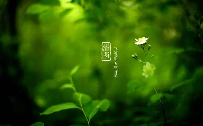 描写清明节的古诗有哪些（精选36首）