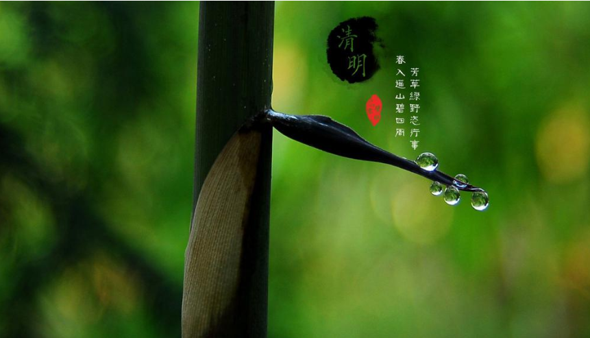 描写清明节的古诗有哪些（精选36首）