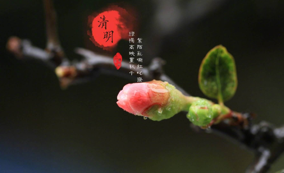 描写清明节的古诗有哪些（精选36首）