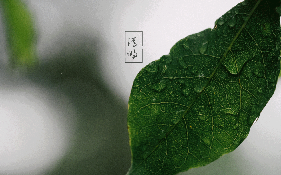 描写清明节的古诗有哪些（精选36首）