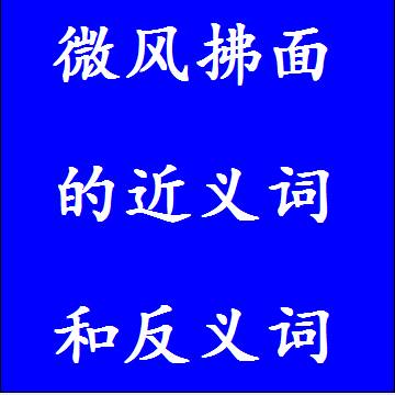 微风拂面的反义词和近义词