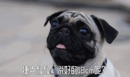 “玩儿鸟”是一门手艺活儿 | Handjob下篇 (男女通用)