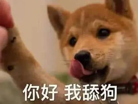 贱贱的舔狗文案  关于舔狗的说说