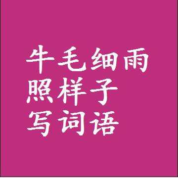 牛毛细雨照样子写词语和成语
