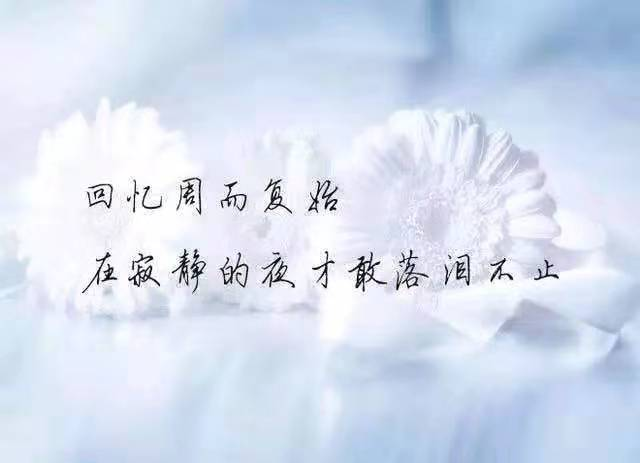 只想好好爱一个人的说说句子 qq说说心情短语大全