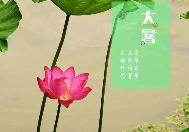 大暑节气发朋友圈的句子