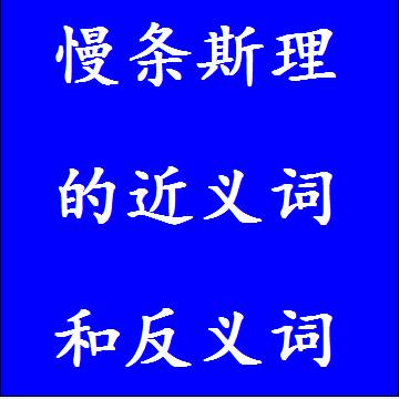 慢条斯理的反义词和近义词