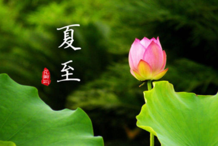 关于夏至唯美的句子 夏至一句话说说