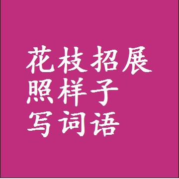 花枝招展照样子写词语