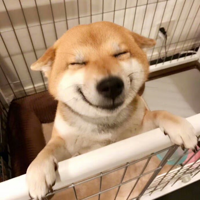 调侃雷人的经典语录