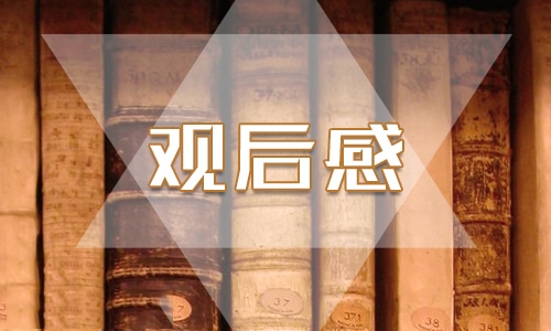 驯龙高手观后感5篇