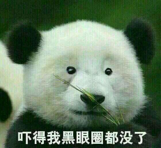 微信朋友圈搞笑文案 发朋友圈的句子