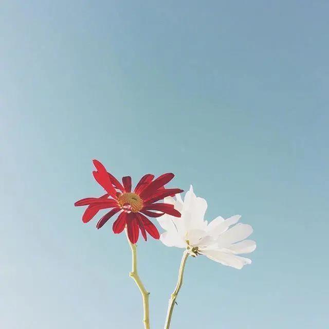 极简风文案短句