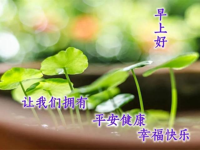每天一句早安的问候语