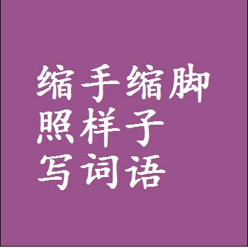 缩手缩脚照样子写词语，结构一样的成语