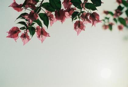 关于励志的说说 上班励志的图片