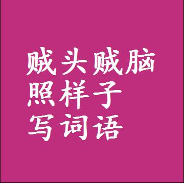 贼头贼脑照样子写词语和成语