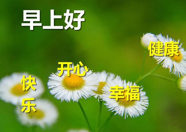 早安女人奋斗正能量的句子