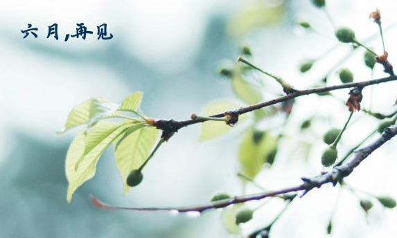 告别六月迎接七月时发的简单说说