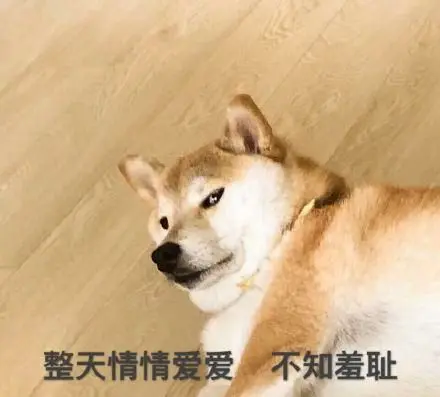 嘲讽好朋友没有对象的孤寡单身狗文案