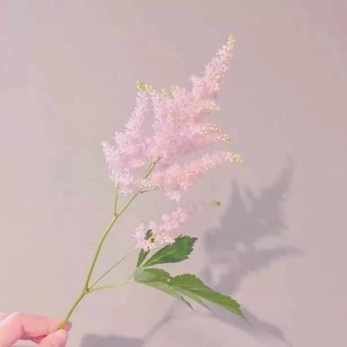 温柔日常文案