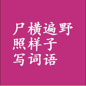 尸横遍野照样子写词语，意思相同结构类似的四字词语