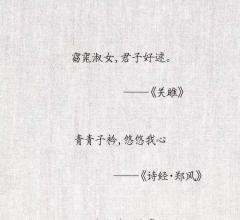 可以给我一句你最喜欢的诗句吗