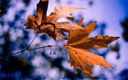 突然感觉很无助好想哭 生活伤心无助的说说