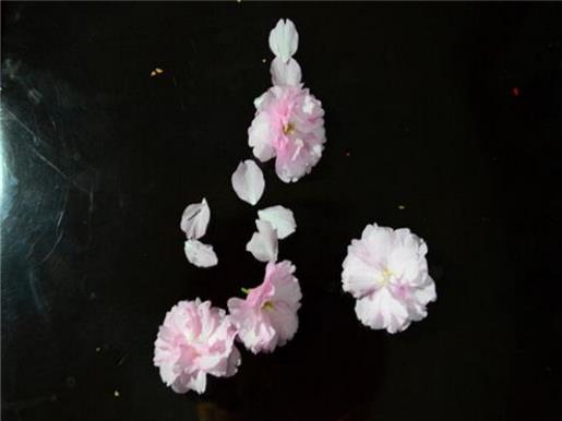 描写天气恶劣的句子或段落