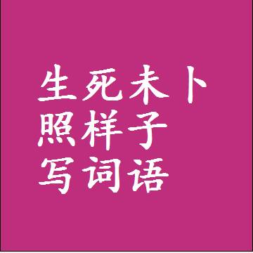 生死未卜照样子写词语，意思相近差不多的近义词