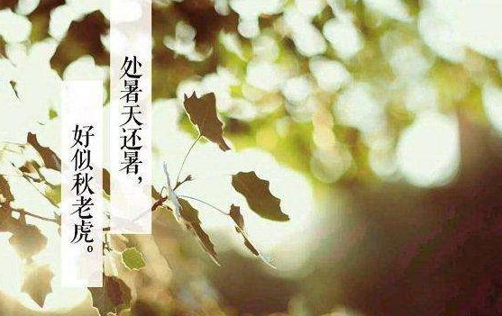 处暑发朋友圈的短语
