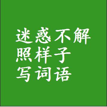 迷惑不解照样子写词语