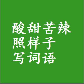 酸甜苦辣照样子写词语和成语