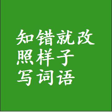 知错就改照样子写词语