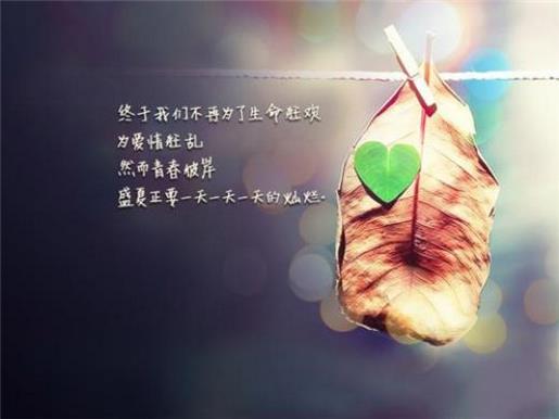 励志说说心情短语大全 分手励志的句子致自己简短