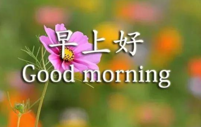 周末发朋友圈早安励志语录