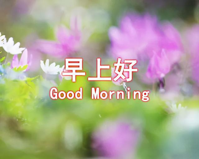 周末发朋友圈早安励志语录