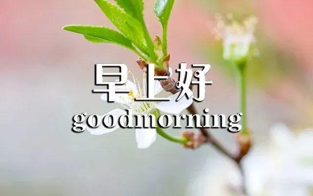 周末发朋友圈早安励志语录