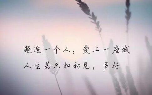 突然一刻心酸的句子