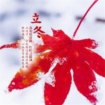 励志的句子说说心情短语 适合发朋友圈的励志句子