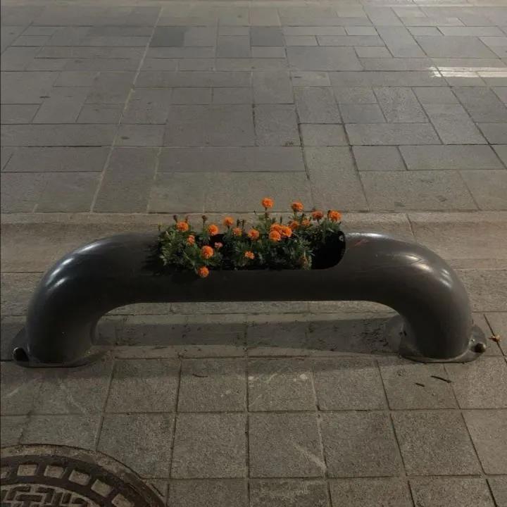 失望和心凉的个性签名短句