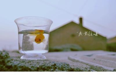 形容冬天雪景仙气十足的句子 形容雪景的唯美句子