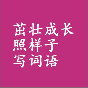 茁壮成长照样子写词语和成语