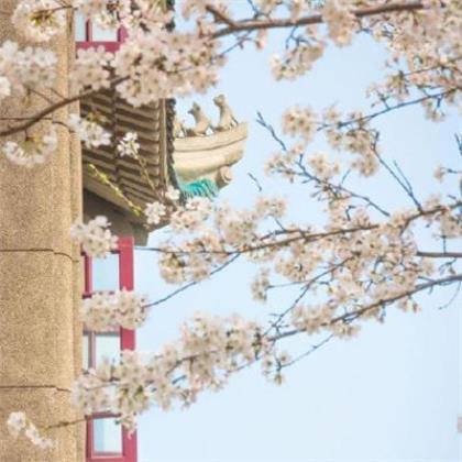 励志朋友圈说说带图 朋友圈励志说说经典的句子