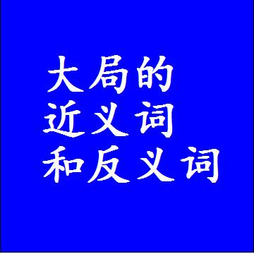 大局的近义词和反义词，标准答案两个字的词语