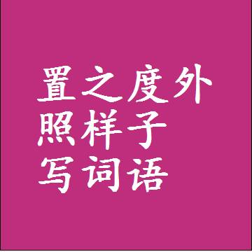 置之度外照样子写词语