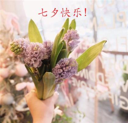 早安说说正能量简短 2020年的说说简短励志说说