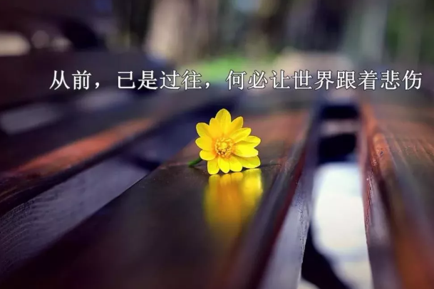 激励自己努力拼搏的句子