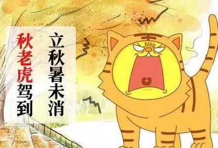 描写秋老虎炎热的句子