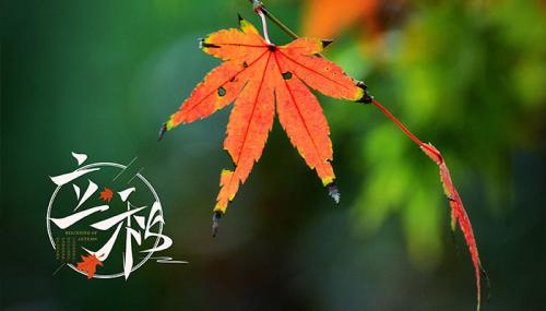 2021立秋说说心情短语人生感悟 感慨立秋的心情说说